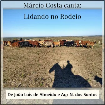 Lidando no Rodeio by 