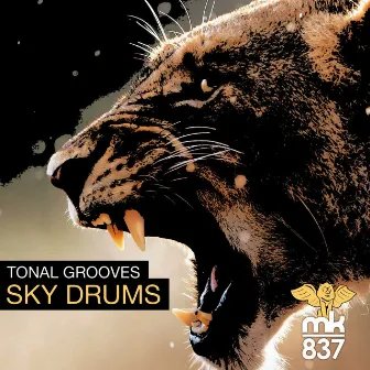 Sky Drums by Tonal Grooves