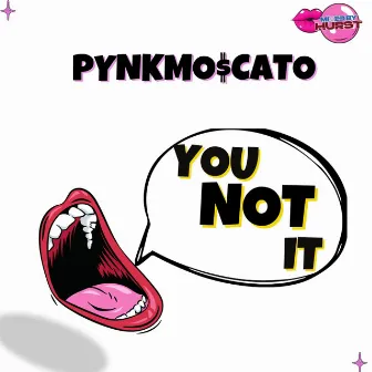 You Not It by PynkMo$cato