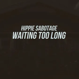 Waiting Too Long by Hippie Sabotage