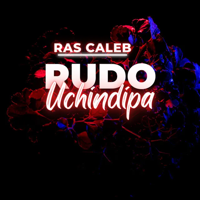 Rudo Uchindipa