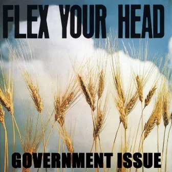 Flex Your Head by Government Issue