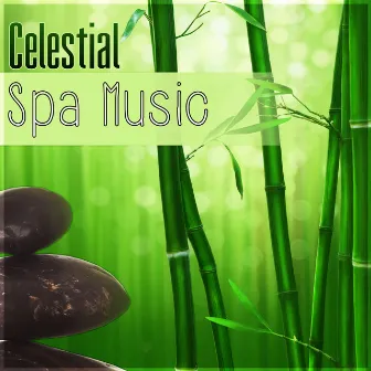 Celestial Spa Music - Soothing Sounds of Nature, Music for Massage, Meditation, Yoga, Wellness, Relaxation, Healing, Beauty, Well being by Day Spa Academy