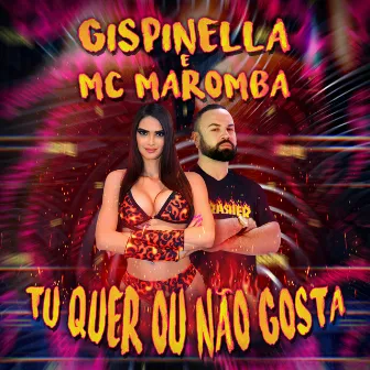 Tu Quer ou Não Gosta by Gispinella