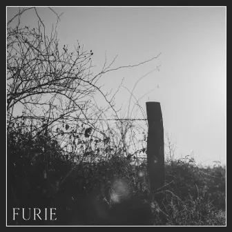 Furie EP by MOTH