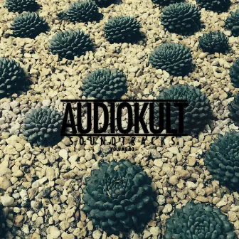 Audiokult Soundtracks, Vol. 03 by Unknown Artist