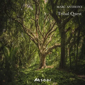 Tribal Quest by Marc Anthony