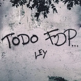 Todo FDP by Ley