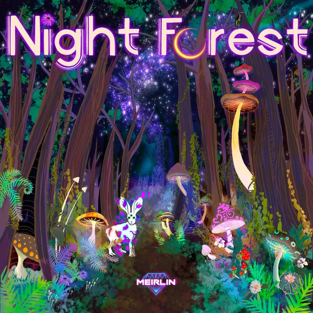 Night Forest