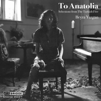 To Anatolia: Selections from the Turkish Five by Beyza Yazgan