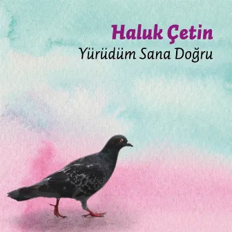 Yürüdüm Sana Doğru by Haluk Çetin