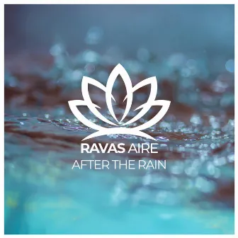 After The Rain by Ravas Aire