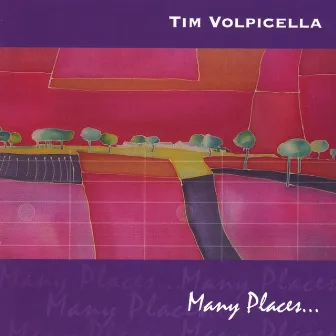 Many Places by Tim Volpicella