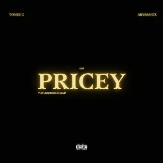 PRICEY by Bry Bandz