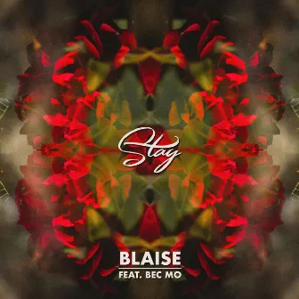 Stay by Blaise