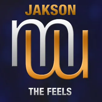 The Feels (Radio Edit) by Jakson