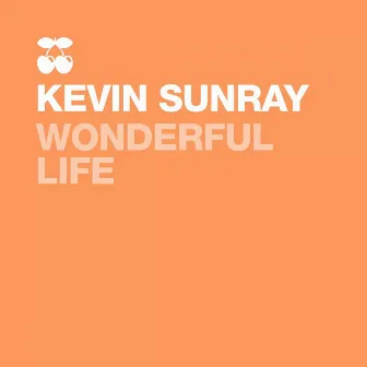 Wonderful Life by Kevin Sunray