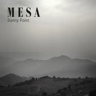 Sunny Point by Mesa