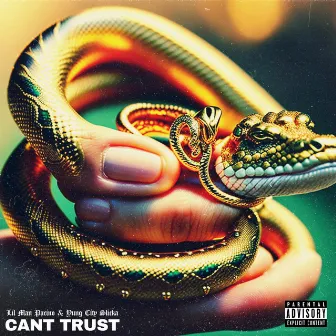 Cant Trust by Lil Man Pacino