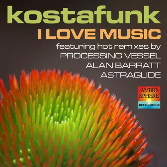 I Love Music by Kostafunk