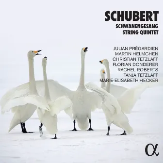 Schubert: Schwanengesang & String Quintet by Julian Prégardien