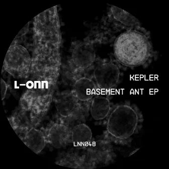 Basement Ant EP by Kepler