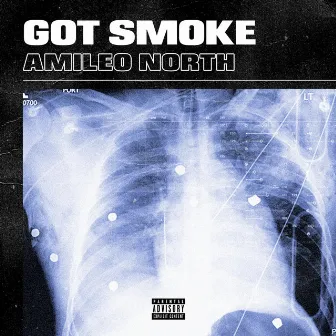 Got Smoke by Amileo North