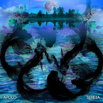 Sereia by Unknown Artist