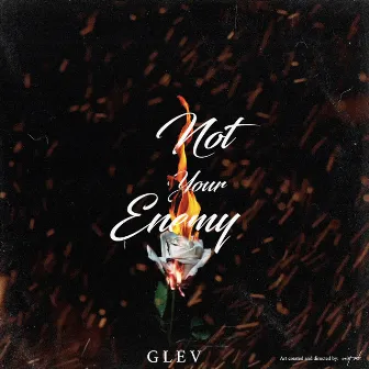 Not Your Enemy by G L E V