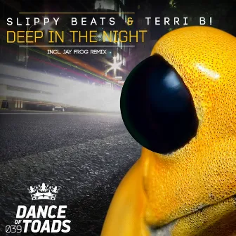 Deep In The Night by Slippy Beats