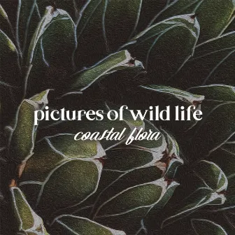 Coastal Flora by Pictures of Wild Life