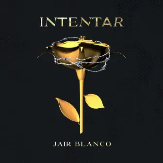 Intentar by DeMasters