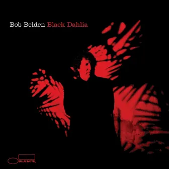 Black Dahlia by Bob Belden