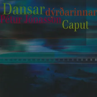 Dansar dýrðarinnar by Pétur Jónasson