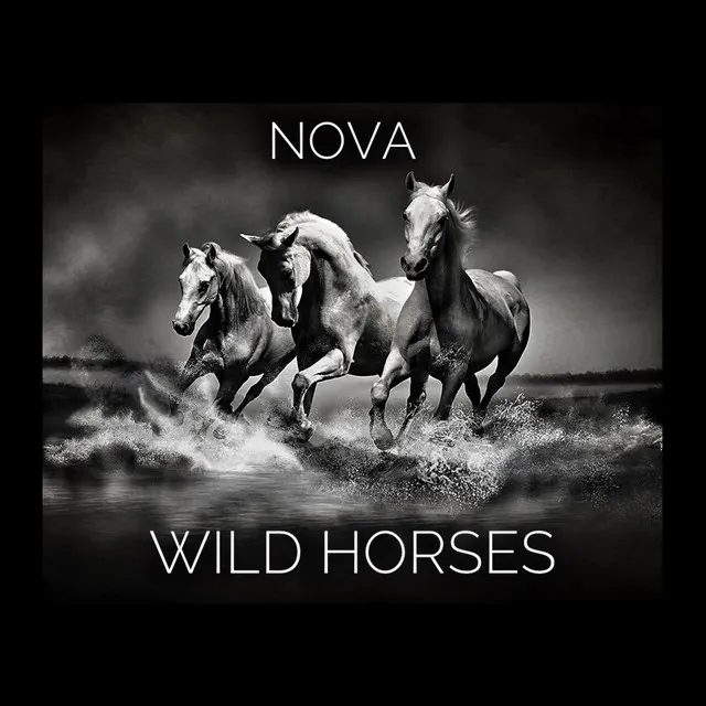 Wild Horses