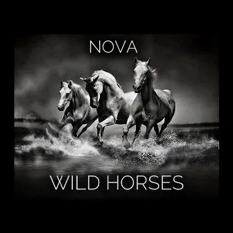 Wild Horses by NOVA uk