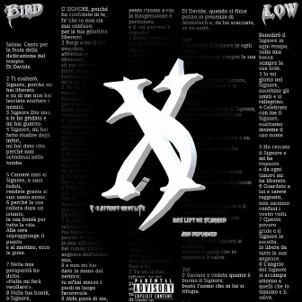 XTAPE (Low & Bird) by Lil Bird