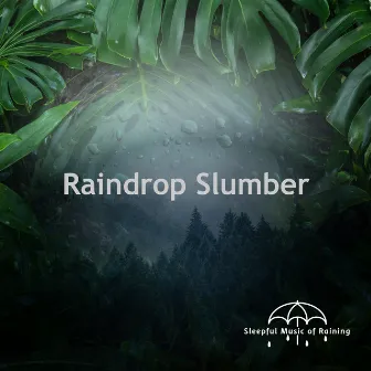 Raindrop Slumber by Sleepful Music of Raining