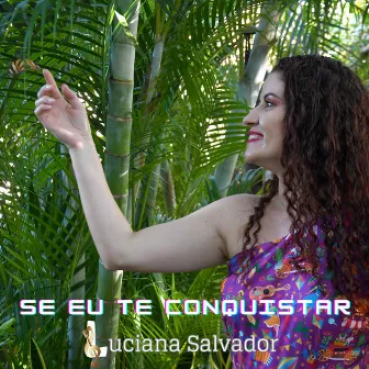 Se Eu Te Conquistar by Valdir Santos