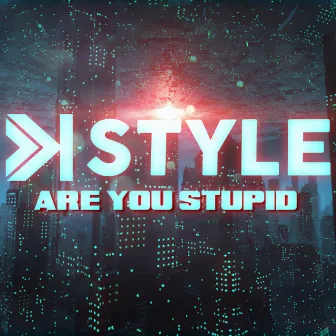 Are You Stupid by K-Style