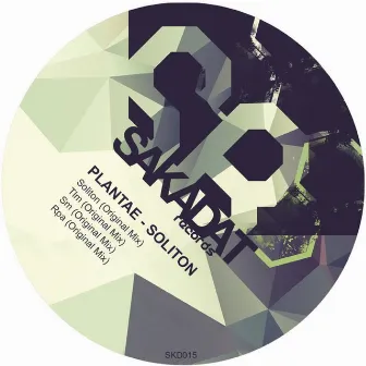 Soliton by Plantae