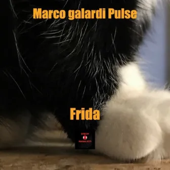 Frida by Marco Galardi Pulse