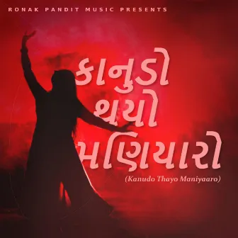 Kanudo Thayo Maniyaro (Garba Mashup) by Ronak Pandit