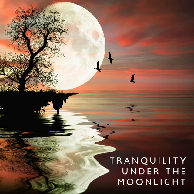 Tranquility Under the Moonlight: Soothing Piano Solos for Peaceful Nights