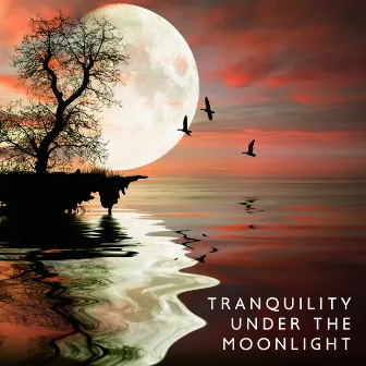 Tranquility Under the Moonlight: Soothing Piano Solos for Peaceful Nights by Janet Sleepy