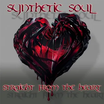 Straight from the Heart by Synthetic Soul