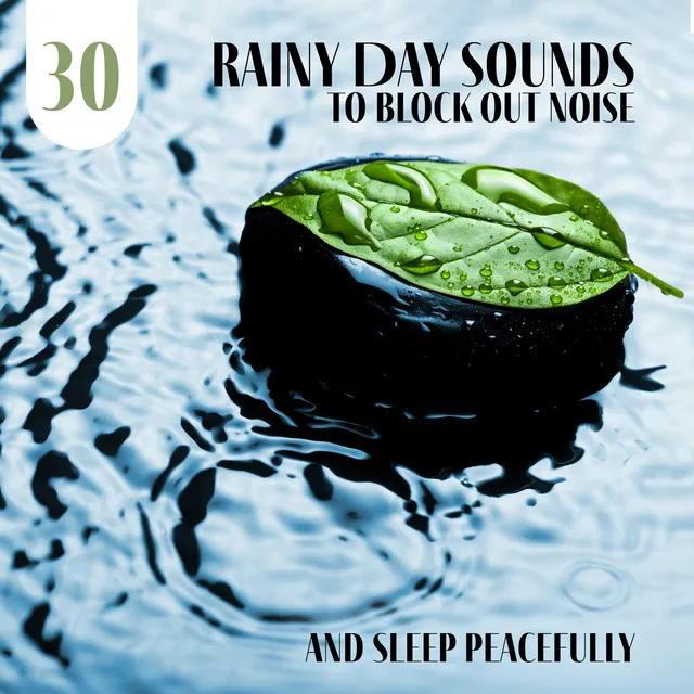 30 Rainy Day Sounds to Block out Noise and Sleep Peacefully