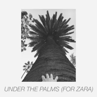 Under the Palms (For Zara) by Nathan Veshecco