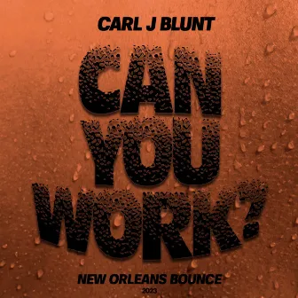 Can You Work by Carl J Blunt