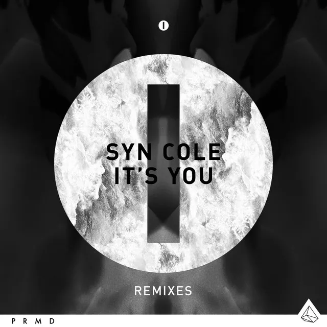 It's You - Panic City Remix Radio Edit